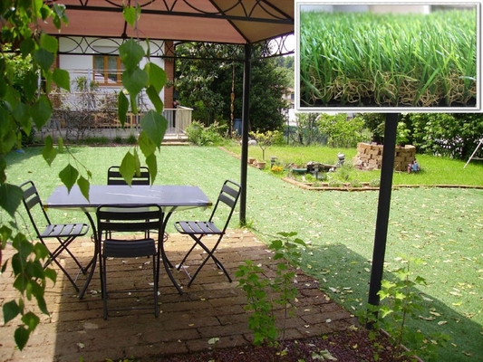 Dekorativer Teppich-künstliches Gras 35mm, synthetisches Gras 11600Dtex für Garten DEQZT3512DF1